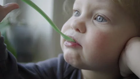 Portrait of a two-year-old child. child eating pasta expressing different emo Stock Footage 152002799