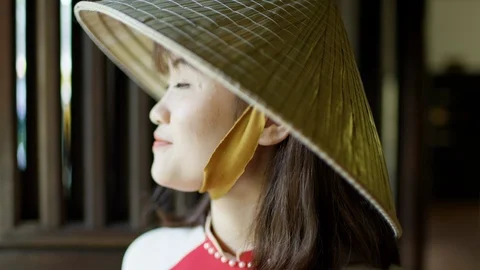 Portrait of Vietnamese village girl with... | Stock Video | Pond5