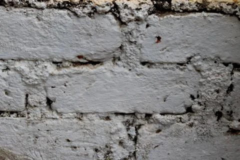 Portrait view of Image of white bricks wall Stock Photos