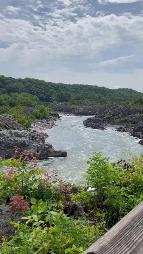 Portrait View of Rushing River Stock Footage 312278104
