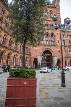 Portrait View of a Tree Outside the St Pancras railway station Stock Photos