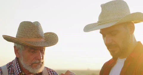 Portrait view of the two farmer engineers wearing hat examining plants and Stock Footage 157645126