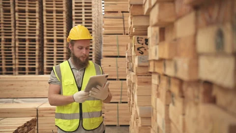 Portrait of warehouse worker checking stock of wooden pallets Stock Footage 253883317