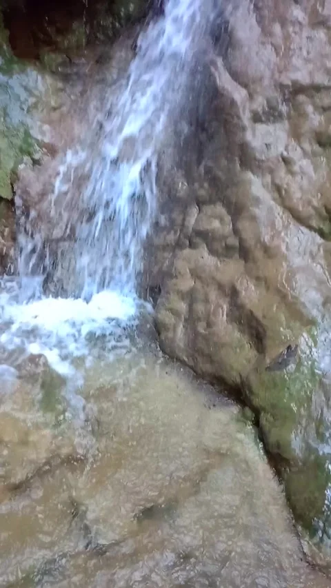 Portrait Waterfall In The Rain Forest Stock Footage 267736938