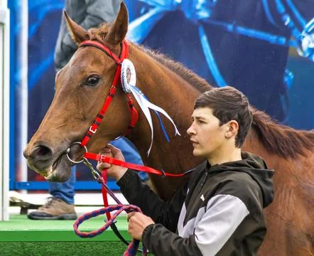 Portrait of the winner. Stock Photos