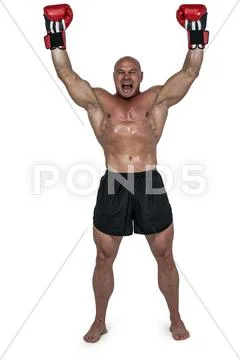 Portrait of winning boxer with arms raised Stock Photos