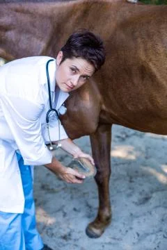 Portrait of woman vet examining horses hoof Stock Photos