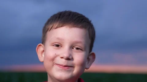 Portrait of young boy, Sky turning dark, Magic hour photo, Country life, Kid Stock Footage 311896322