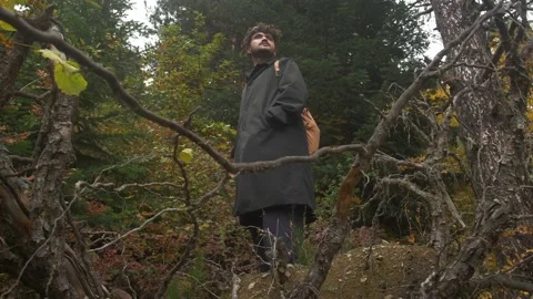 Portrait of a young curly-haired guy who is looking at a landscape with Stock Footage 194092763