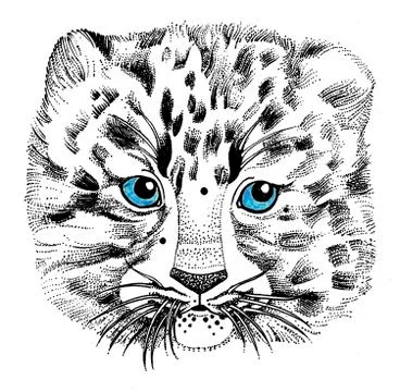 Portrait of a young Far Eastern leopard. Stock Illustration