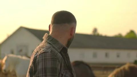Portrait of a young farm worker, on the background of a fence with horses. Video stock 251111247