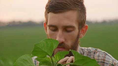 Portrait of a young farmer Stock Footage 90775073
