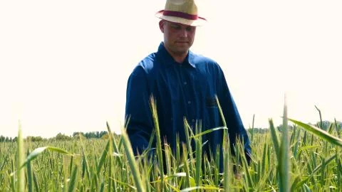Portrait of a young guy (man) in a working uniform in the middle of a field. Stock Photos