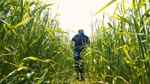 Portrait of a young guy (man) in a working uniform in the middle of a field. Stock Photos