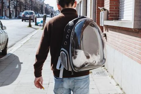 Portrait of a young guy walking with a cat in a backpack around the city. Stock Photos