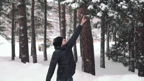 Portrait of a young handsome man with a beard. A bearded man in the winter woods Stock Footage 72736458