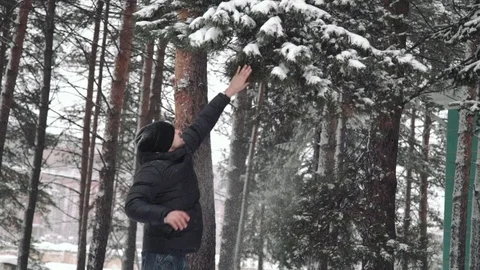 Portrait of a young handsome man with a beard. A bearded man in the winter woods Stock Footage 72736824