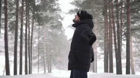 Portrait of a young handsome man with a beard. A bearded man in the winter woods Stock Footage 72737490