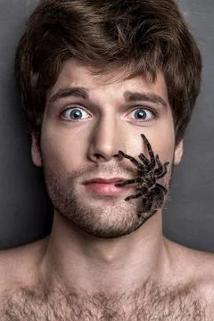  Portrait of a Young Handsome Man with Spider on His Face Portrait of a Yo... Stock Photos