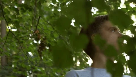 Portrait of young man looking through tree branches in forest. 動画素材 76251956