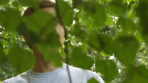 Portrait of young man looking through tree branches in forest. Vídeo Stock 76252106