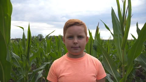 Portrait of young serious red-haired boy looking into camera against the Vidéo 333678536