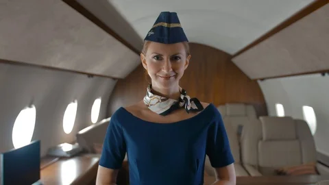 Portrait of young stewardess inside of private jet cabin. Stock Footage 102463040