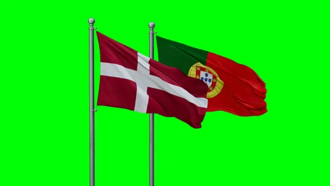 Portugal and Denmark two flags Stock Footage 290035808