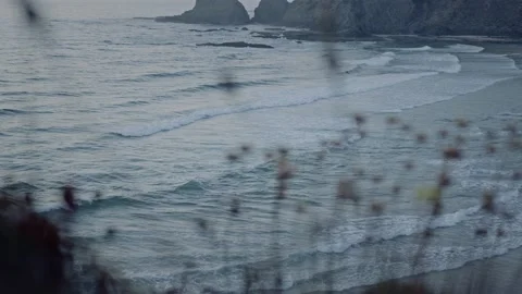 Portugal Beach Stock Footage 228386631