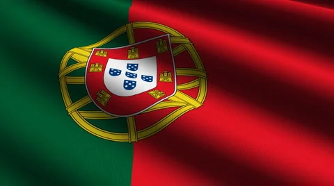 Portugal flag close up Stock Footage 884548