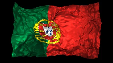Portugal flag Stock Footage 110827221