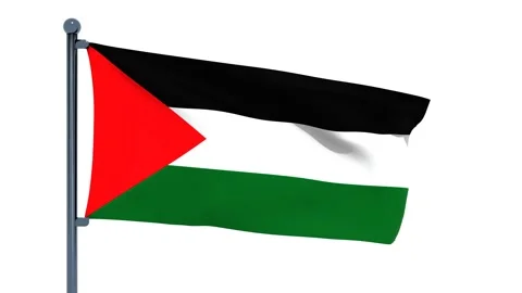 Portugal Flag Stock Footage 150203997