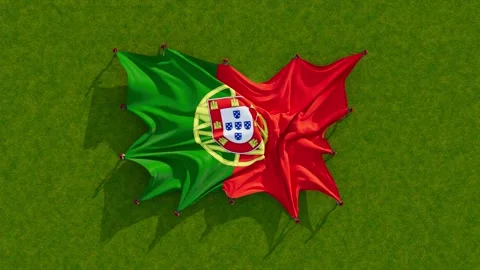 Portugal flag Stock Footage 202282947
