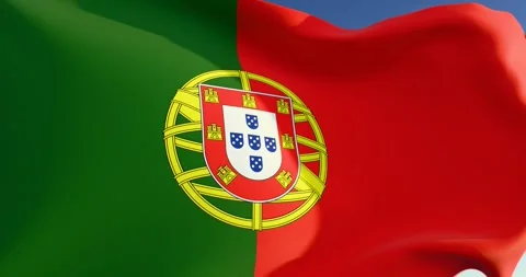 Portugal flag Stock Footage 300022967