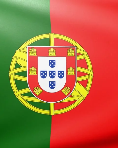 Portugal flag  Stock Footage 302740716