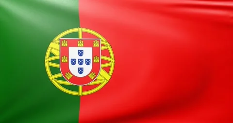 Portugal flag  Stock Footage 302740981