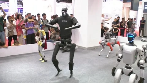 Portugal: Humanoid robots shine at Web Summit 2024, shaping future of aut... Stock Footage 292119070