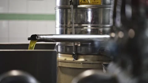 Portugal olive oil flowing from processing machine Stock Footage 328826678