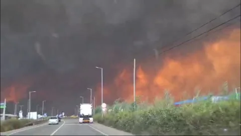 Portugal: We Are in Hell, Surrounded by Fire: Albergaria-a-Velha's Descent i... Stock Footage 284985204