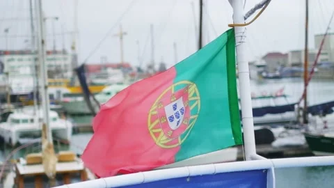 Portugese flag. Stock Footage 237531043