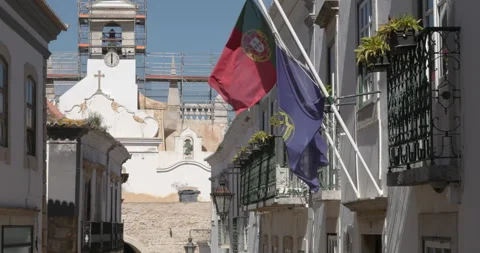 Portugese flag waving Stock Footage 302898891