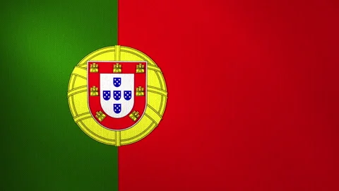 The Portuguese flag flutters in the wind. Stock Footage 328246084