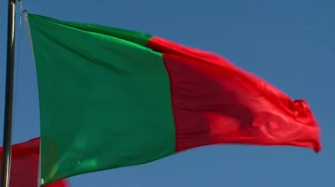 Portuguese flag Video stock 88113