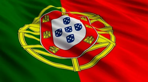 Portuguese flag Seamless  Vídeo Stock 48647445