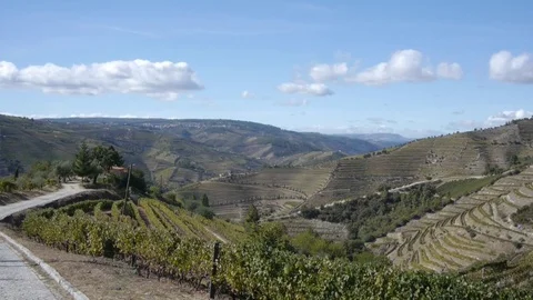 Portuguese landscape. Stock Footage 80248688