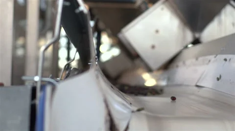 Portuguese olive oil industry. Stock Footage 63396341