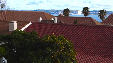 Portuguese Red Tile Rooftops With Orange Tree and Atlantic Ocean View Stock Footage 331959031