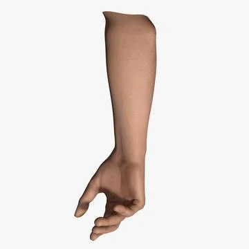 Posed Male Hand 3D Model