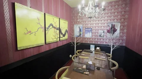 Posh Dining Room Stock Footage 166676333