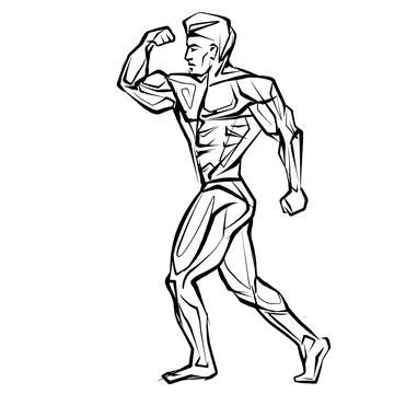 Posing bodybuilder, isolated vector silhouette, ink drawing Stock Illustration